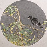 夺斯米孔的头像
