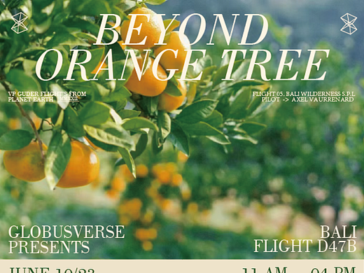 【第六天】 B计划-28天技能训练