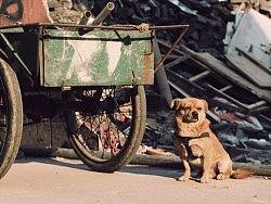 厦门民宅生活摄影2,勿拍砖