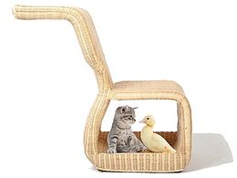 多功能生活用品