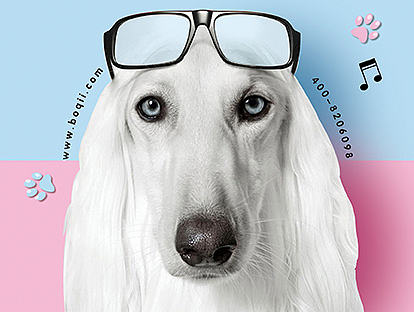 宠物DM单（个人主页-ZMTk2NjQxMDQ=） - 宣传物料 - 站酷设计师mayidefei原创素材 - 站酷ZCOOL