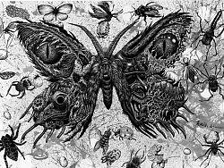 “窒息微观”系列一号实验作品————《亡蛾》手绘过程