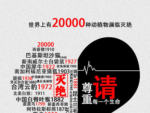 保护动物