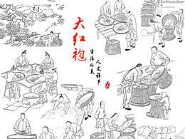 插画