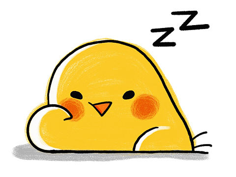 小鸡Mango