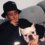小TAN的头像