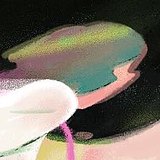 蕾子lane的头像