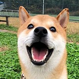 Euphemianess的头像