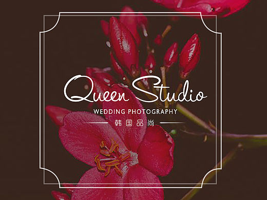 婚纱摄影logo和中餐厅logo