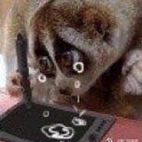 魏抽抽呀的头像