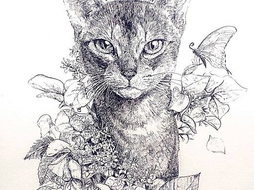 《猫与紫阳花》钢笔插画