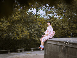 收藏夹2
