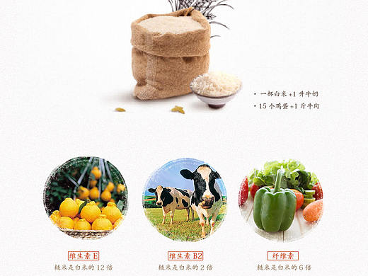 大米详情页（电商详情页，五谷详情页，详情页）（个人主页-ZMTY5MjM5OTY=） - 电商 - 站酷设计师维生素三弟原创素材 - 站酷ZCOOL