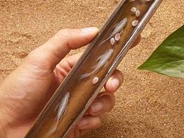 树脂画详细细节