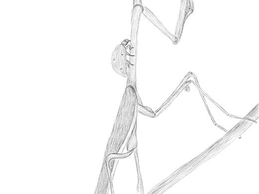 昆虫记（个人主页-ZMzg3OTQ1MDg=） - 艺术插画 - 站酷设计师木灵栖原创素材 - 站酷ZCOOL