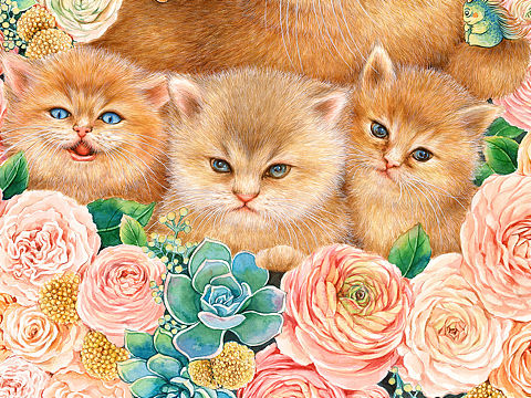 肥宅猫水彩插画
