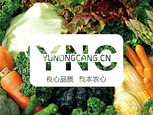 企业宣传册