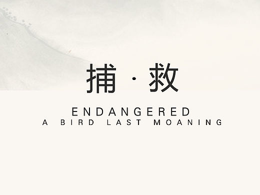 公益招贴/保护鸟类/捕救