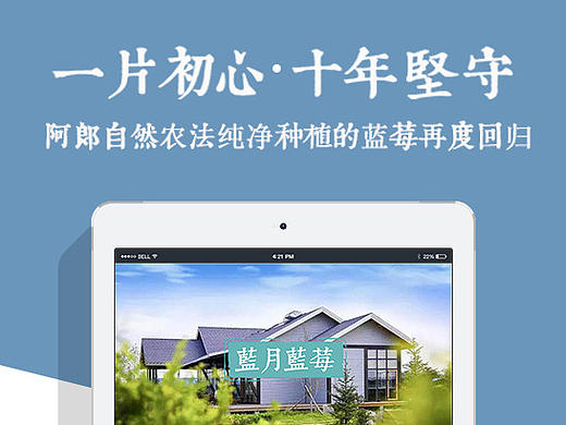 蓝月蓝莓（个人主页-ZMTc2NzkwNTI=） - 电商 - 站酷设计师xiaona小娜原创素材 - 站酷ZCOOL
