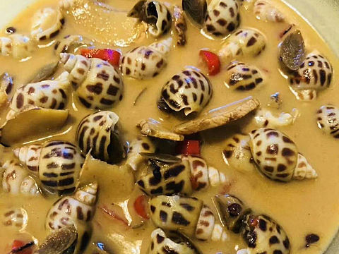 一個(gè)簡簡單單的吃貨照（個(gè)人主頁-ZMzAzMDU5MDg=） - 寵物攝影 - 站酷設(shè)計(jì)師森嶼光凜原創(chuàng)素材 - 站酷ZCOOL