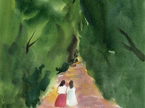 插画里的夏天｜水彩+板绘