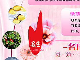 名庄宣传单 设计 推广 素材