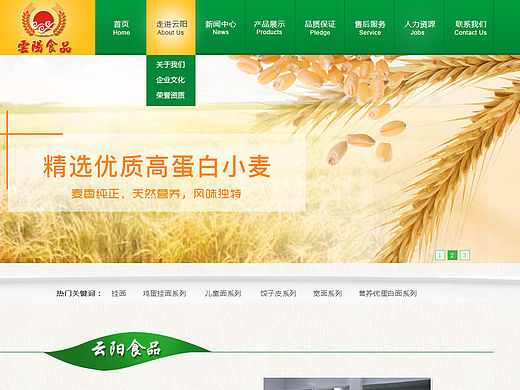 食品网站