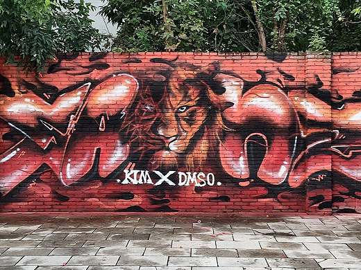 KIMSANZ X DMS 2016INDONGGUAN