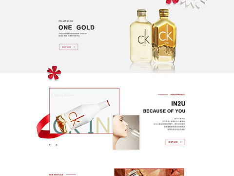 ck香水电商网页