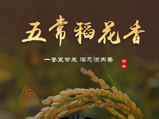 【希望至美】五常大米详情页（个人主页-ZMTQzMTU3NDg=） - 电商 - 站酷设计师希望至美原创素材 - 站酷ZCOOL