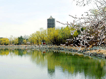 学校教育学生会官网（个人主页-ZMjE4MjM1MjA=） - 企业官网 - 站酷设计师专业网站设计制作原创素材 - 站酷ZCOOL