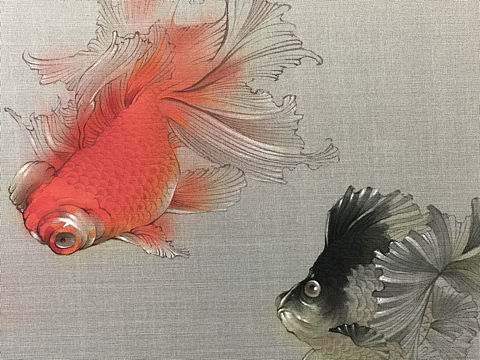 画了一些肥金鱼