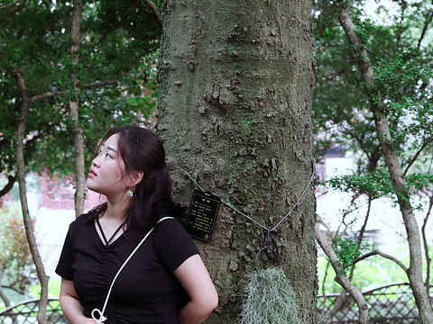 古猗园-摄影初体验（个人主页-ZMzQzNTIxMDA=） - 人像摄影 - 站酷设计师sharon晓雨的雨原创素材 - 站酷ZCOOL