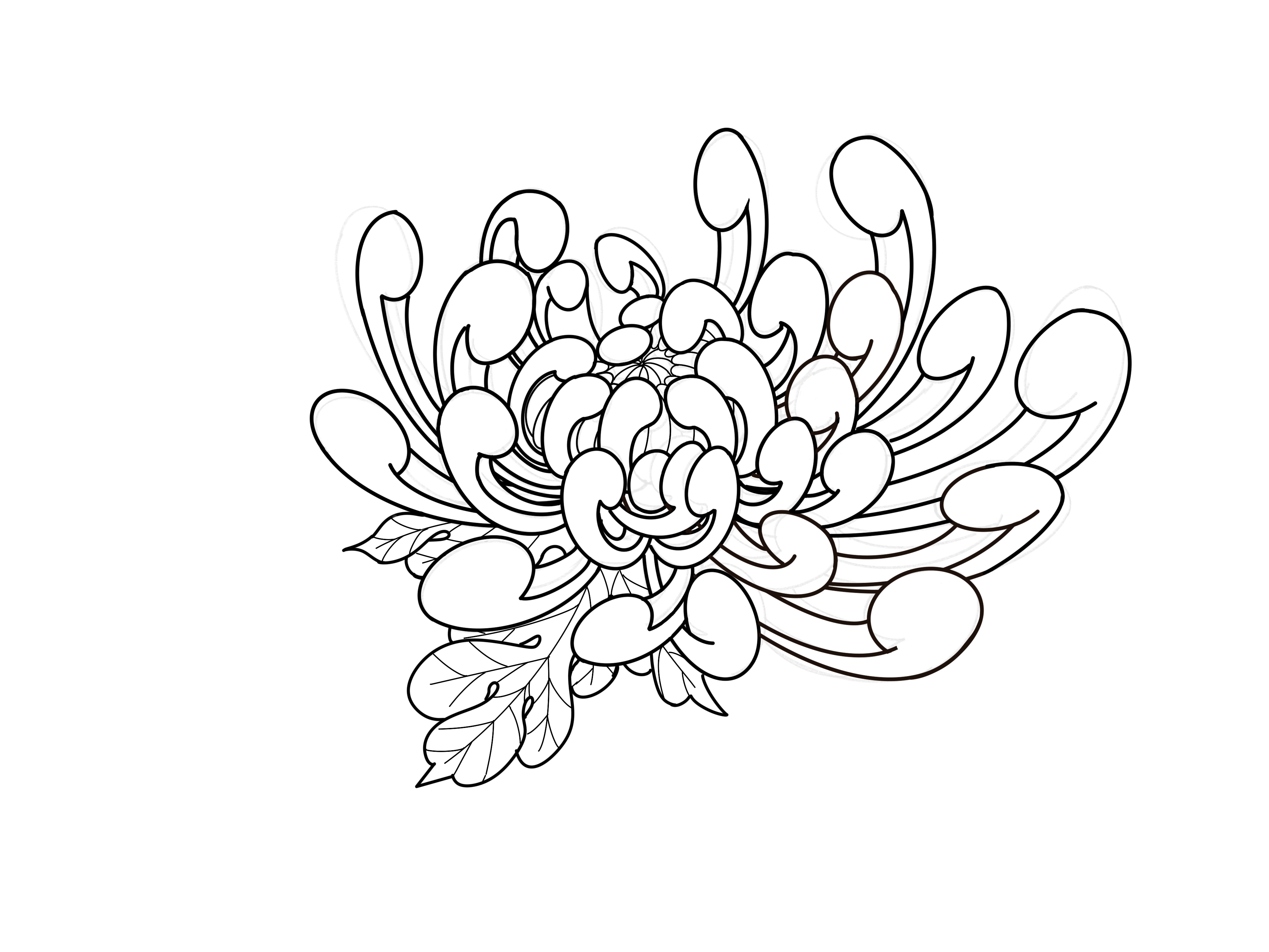菊花纹身手稿 线条图片