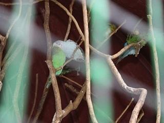 摄影-（个人主页-ZNzM0MzA0MA==） - 风光摄影 - 站酷设计师千亿视觉传达原创素材 - 站酷ZCOOL