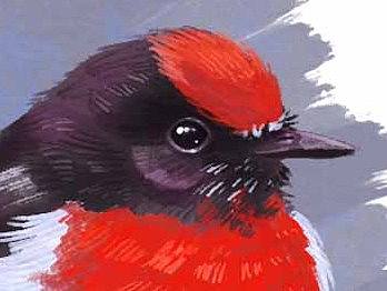 日常小练习（个人主页-ZMTYzNDA4NDg=） - 创作习作 - 站酷设计师阿洁洁原创素材 - 站酷ZCOOL