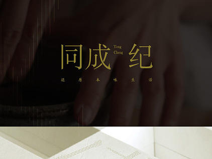 同成纪-品牌设计