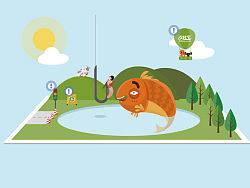 支付宝早知道插画