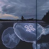 白砚川的头像
