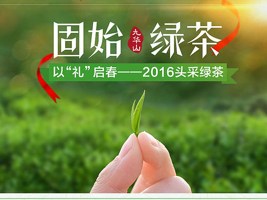 绿茶 信阳毛尖 简洁大气  茶叶 众筹详情 设计