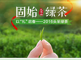 绿茶 信阳毛尖 简洁大气  茶叶 众筹详情 设计