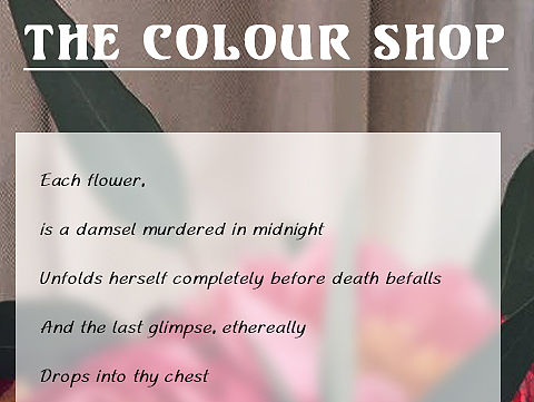 The Colour Shop 花色花艺banner设计