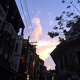 shuangdan88的头像