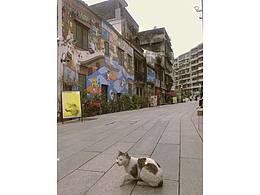 東山少爺 西關小姐