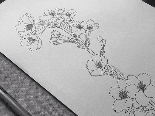 画 针管笔 速写