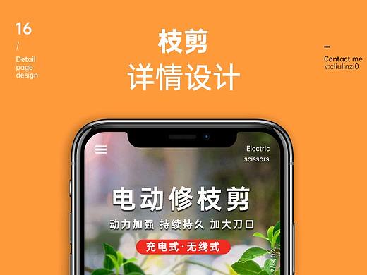 枝剪详情（个人主页-ZNTIyMTkxNzY=） - 电商 - 站酷设计师十六月呀原创素材 - 站酷ZCOOL