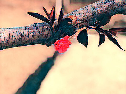 实（个人主页-ZMzkyMzc3NDQ=） - 修图/后期 - 站酷设计师woshi八百里原创素材 - 站酷ZCOOL