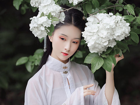 绣球花