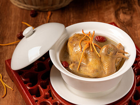 乳鸽汤