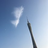 楚君0215的头像